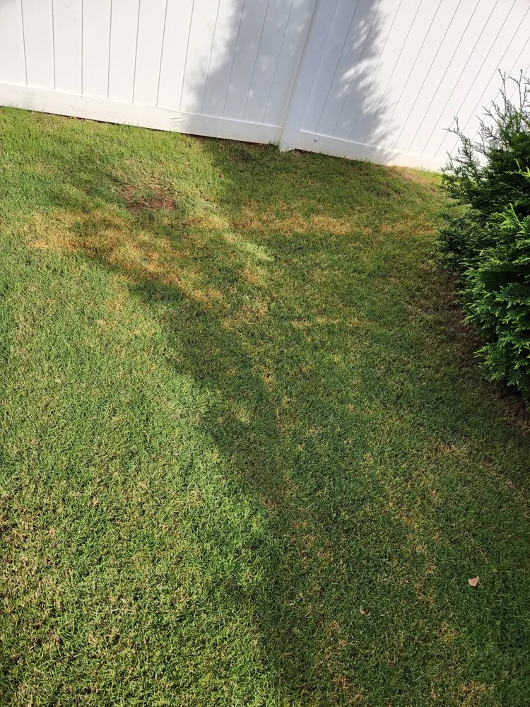 Affordable yard maintenance in Greenville, SC - Fairway Lawns of Greenville
