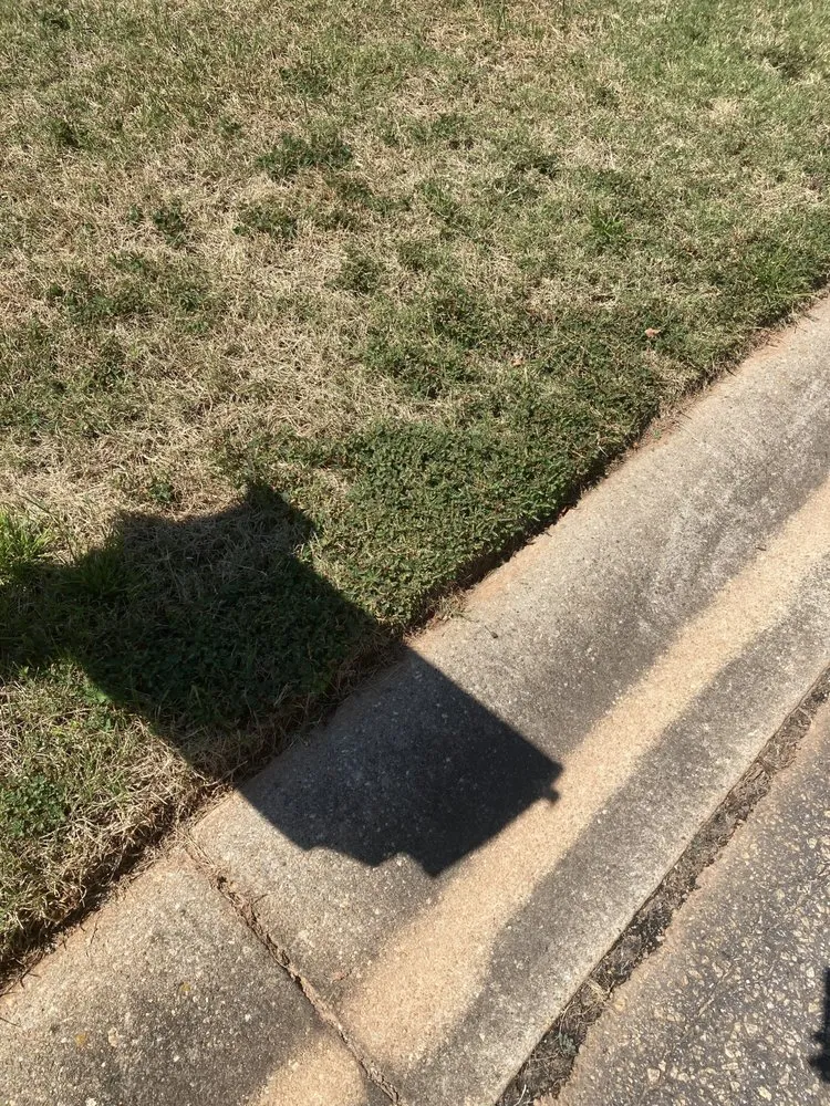 Reliable outdoor landscaping for beautiful yards in Greenville, SC by Fairway Lawns of Greenville