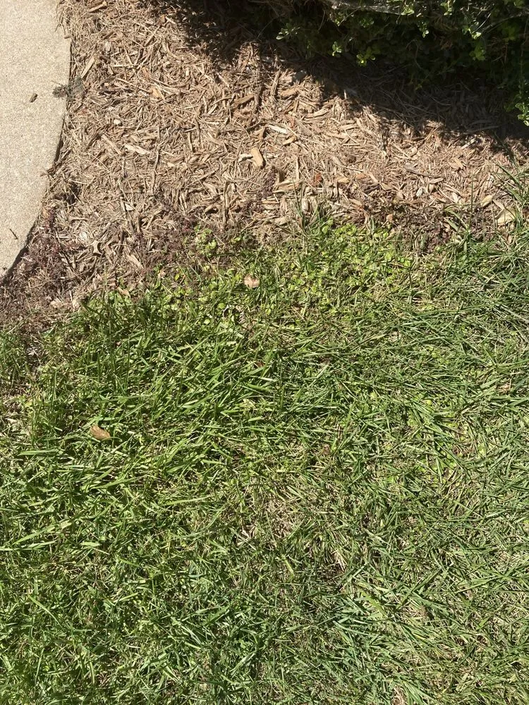 Affordable landscaping services with custom design across Greenville, SC - Fairway Lawns of Greenville