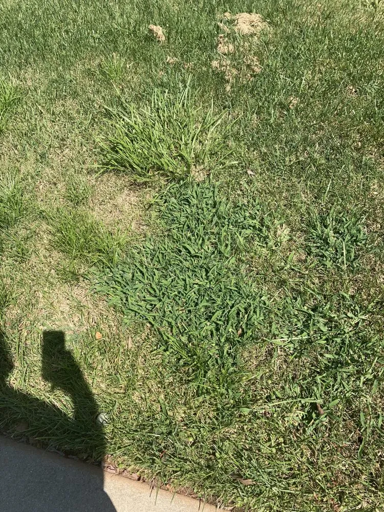 Trusted landscape design in Greenville, SC by Fairway Lawns of Greenville