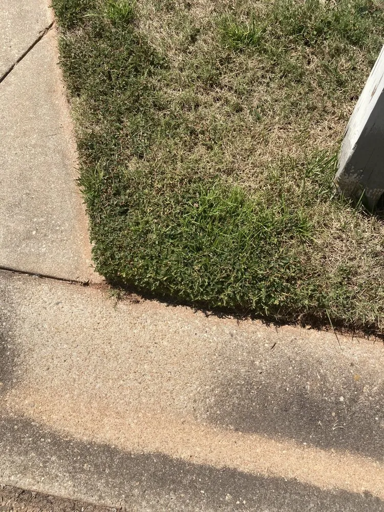 Trusted yard cleanup service in Greenville, SC by Fairway Lawns of Greenville
