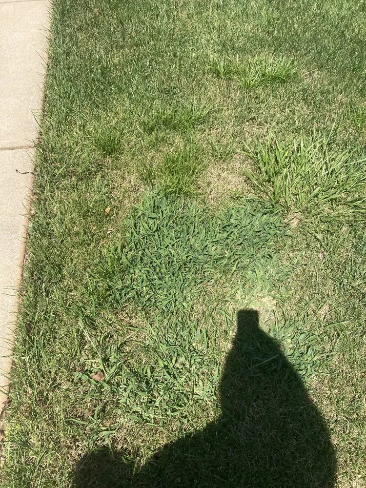 Affordable lawn mowing service experts serving Greenville, SC - Fairway Lawns of Greenville