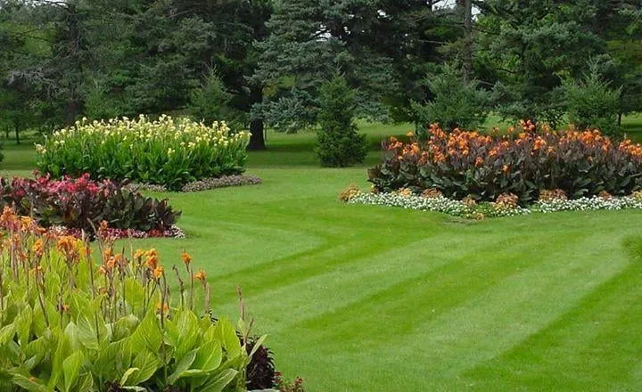 Custom outdoor landscaping experts serving Little Rock, AR - Fairway Lawns of Little Rock