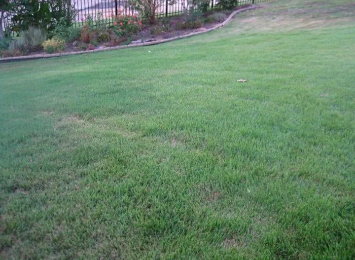 Reliable landscape installation in Little Rock, AR - Fairway Lawns of Little Rock
