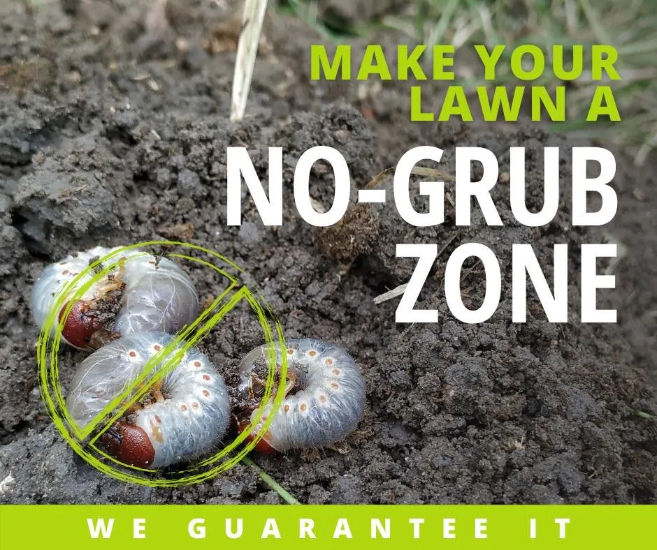 Local garden landscaping in Memphis, TN by Fairway Lawns of Memphis