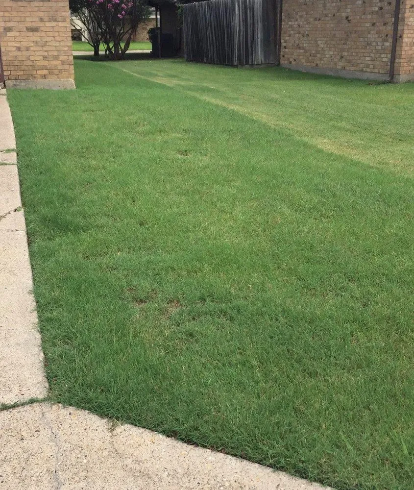 Custom landscape installation for outdoor upgrades in Lavon, TX by Fairway Lawns of Texas
