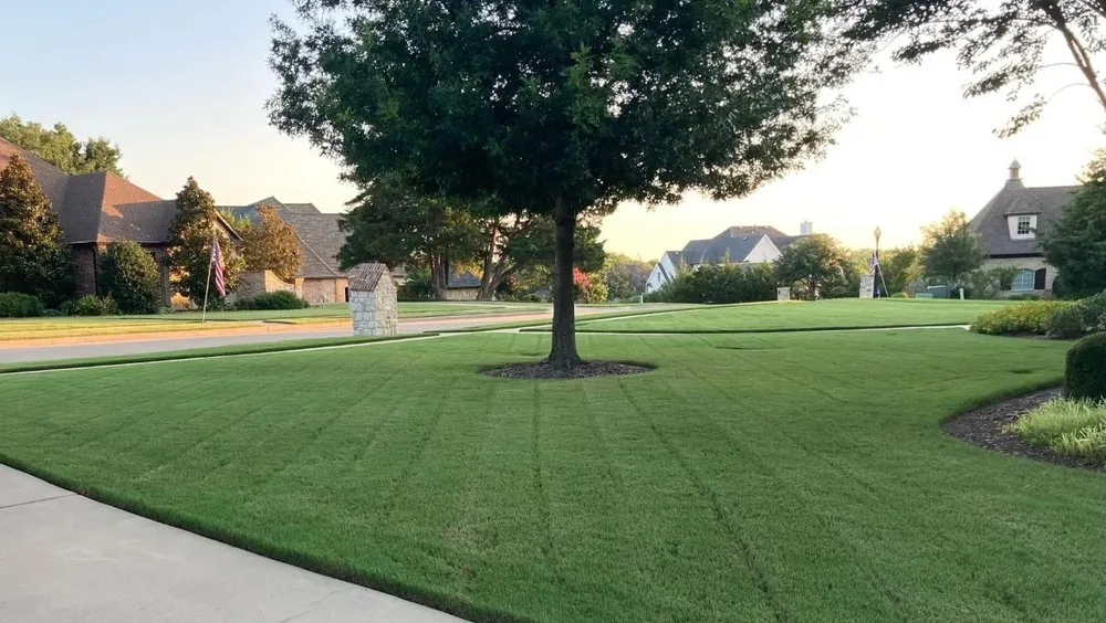 Professional residential landscaping for residential properties across Lavon, TX - Fairway Lawns of Texas