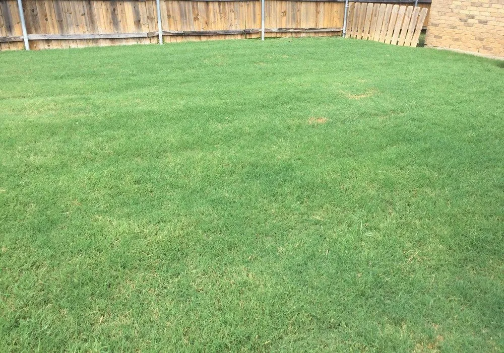 Trusted residential landscaping with custom design in Lavon, TX by Fairway Lawns of Texas