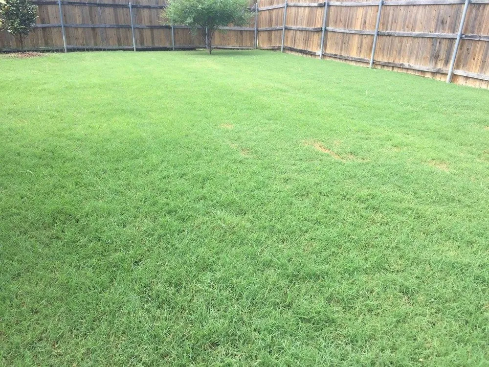 Professional lawn mowing service for homes across Lavon, TX - Fairway Lawns of Texas