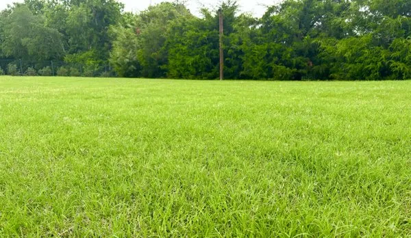 Fairway Lawns of Texas