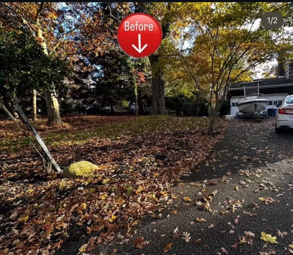 Expert yard cleanup service in Miller Place, NY - Fairway Property Care