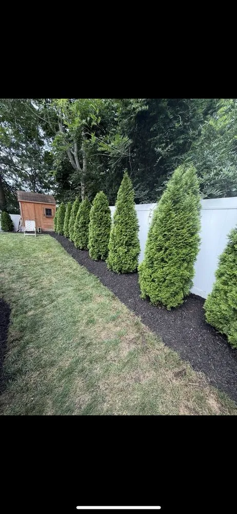 Reliable yard cleanup service in Miller Place, NY - Fairway Property Care