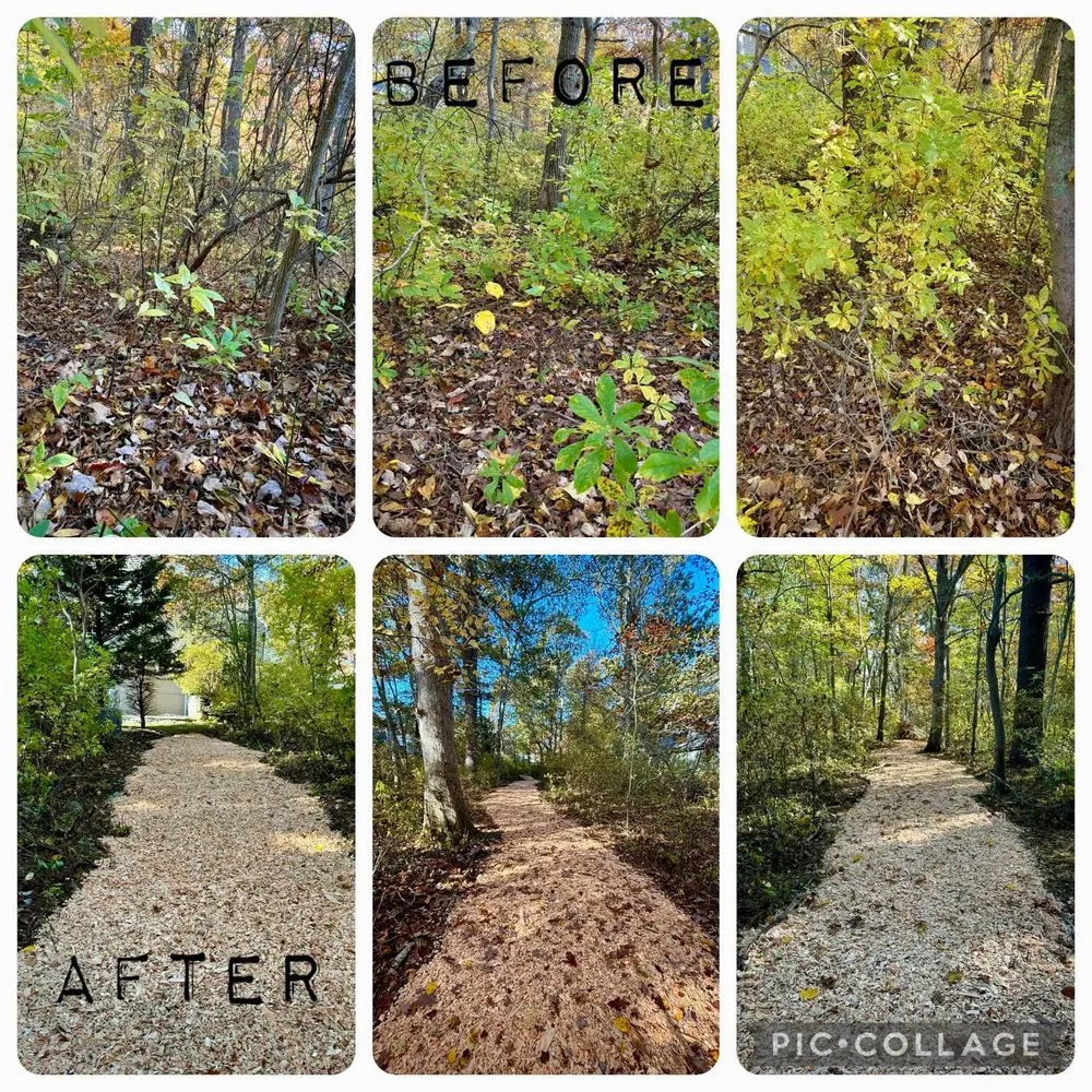 Affordable yard maintenance experts serving Fairhaven, MA - Fairways Tree and Landscaping