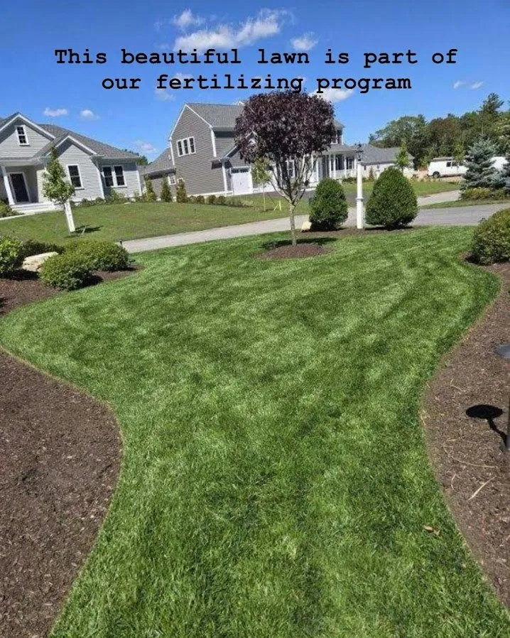 Expert yard cleanup service with custom design across Fairhaven, MA - Fairways Tree and Landscaping