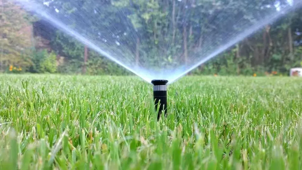 Professional garden landscaping for year-round maintenance across Riverview, FL - Fairweather Outdoors Sprinklers And Landscaping