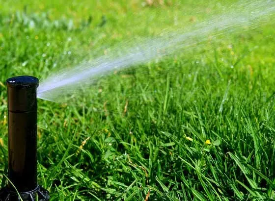Custom lawn mowing service for outdoor upgrades in Riverview, FL by Fairweather Outdoors Sprinklers And Landscaping