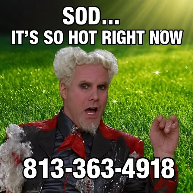 Reliable landscaping services with custom design in Riverview, FL by Fairweather Outdoors Sprinklers And Landscaping