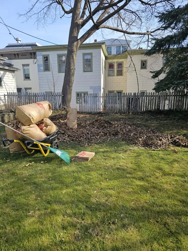 Reliable lawn mowing service experts serving Oswego, NY - Fairy Lawnmother