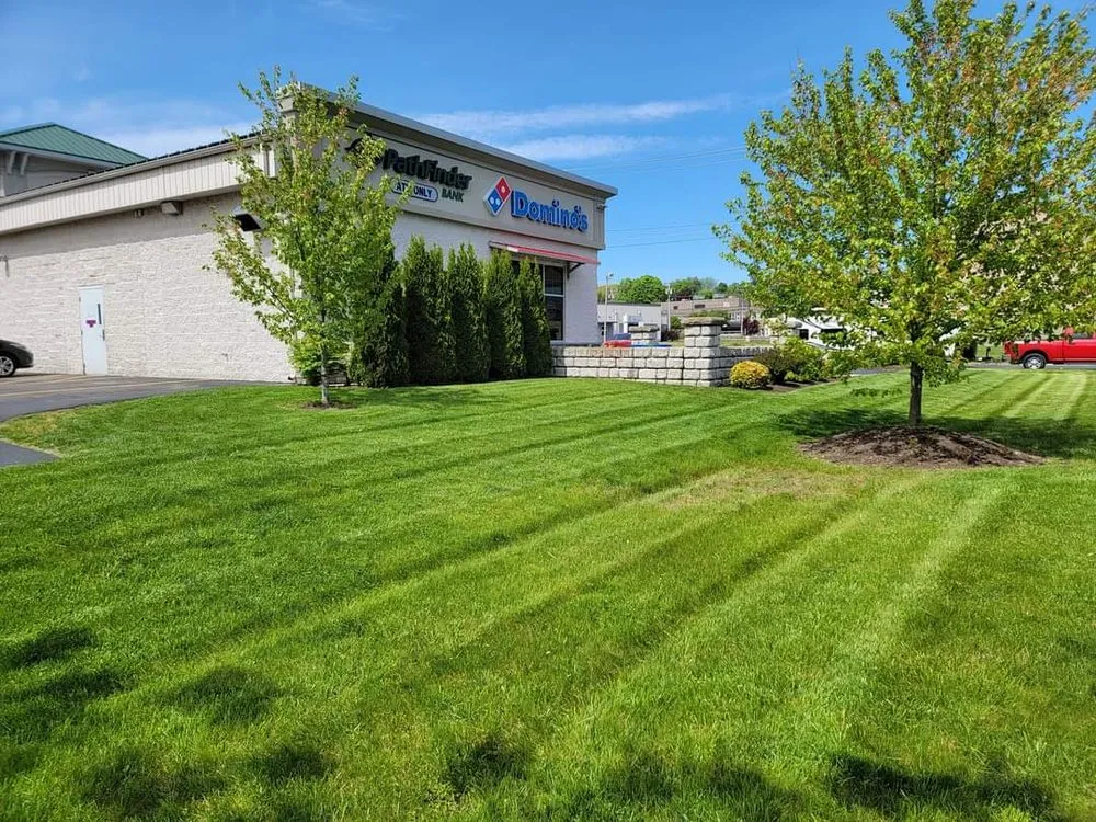 Affordable lawn mowing service for residential properties in Oswego, NY by Fairy Lawnmother