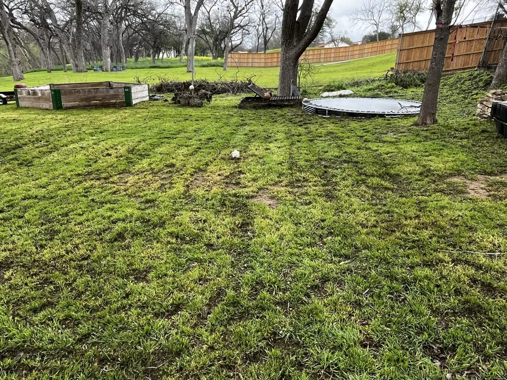 Affordable garden landscaping in New Braunfels, TX - Fairy Yard Mother