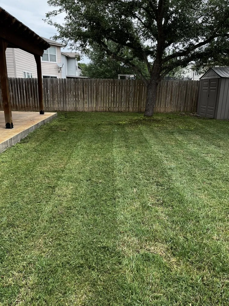 Reliable garden landscaping in New Braunfels, TX by Fairy Yard Mother