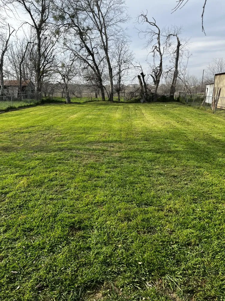 Local landscaping services for beautiful yards in New Braunfels, TX by Fairy Yard Mother