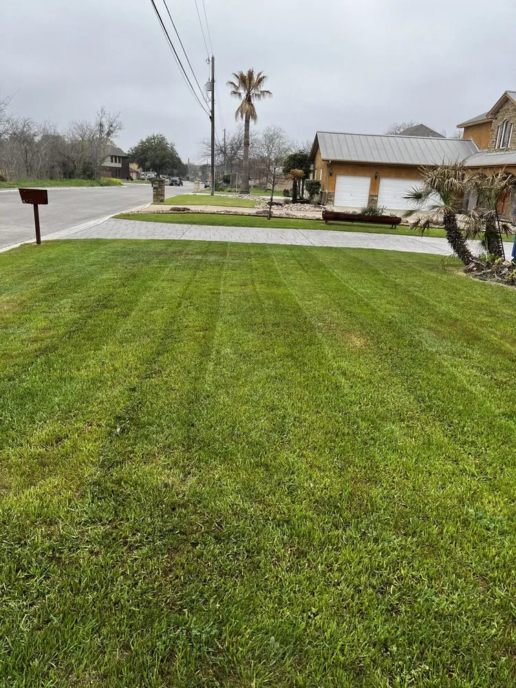 Top-rated garden landscaping in New Braunfels, TX - Fairy Yard Mother