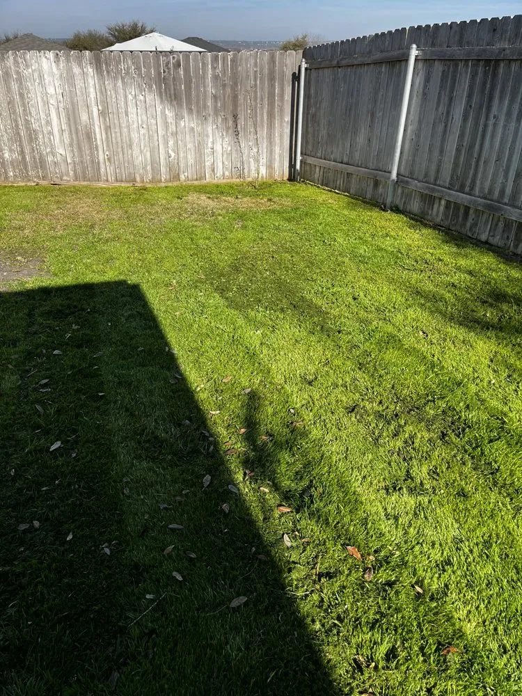 Trusted lawn mowing service experts serving New Braunfels, TX - Fairy Yard Mother