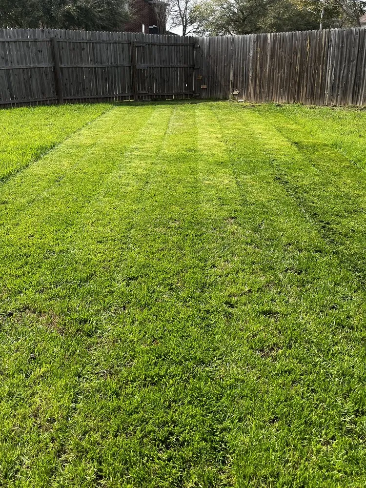 Local outdoor landscaping near you in New Braunfels, TX by Fairy Yard Mother