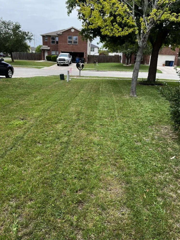 Trusted yard maintenance in New Braunfels, TX - Fairy Yard Mother