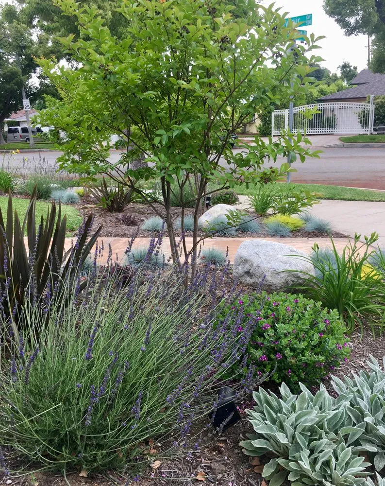 Professional residential landscaping experts serving Morro Bay, CA - Fairy Yardmother Landscape Design