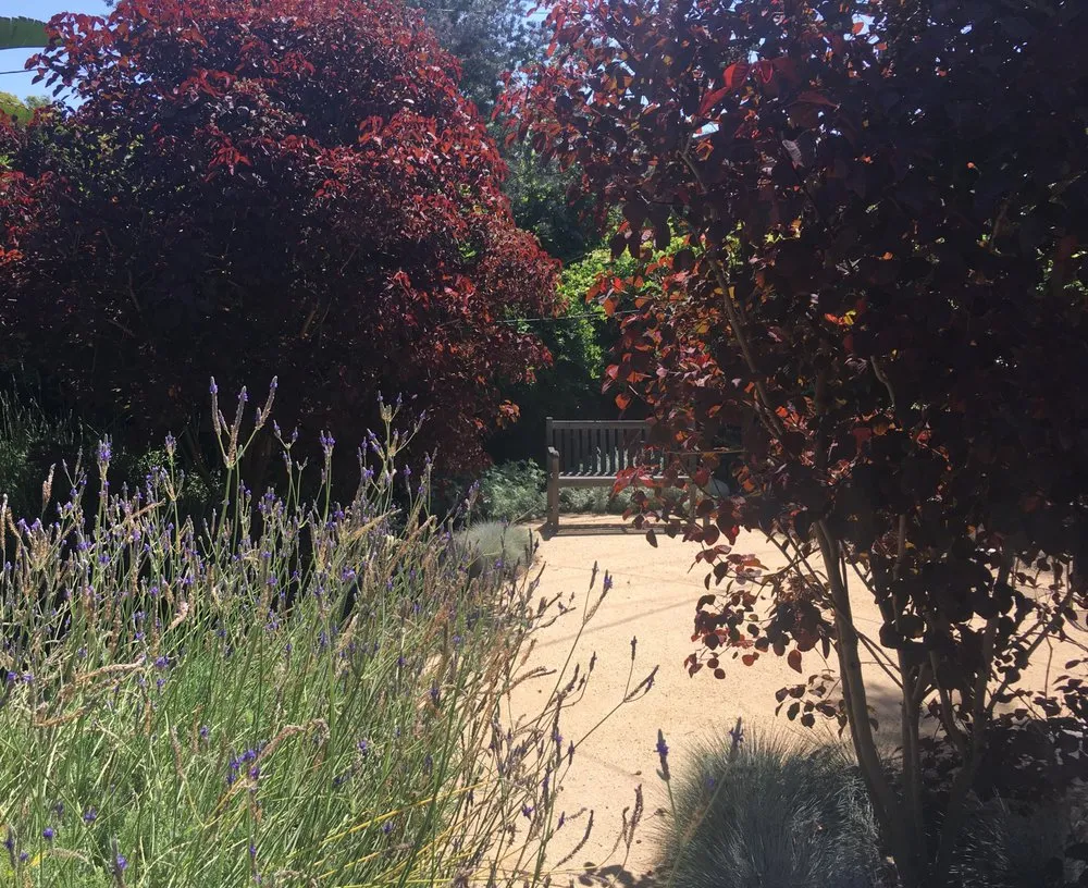 Professional residential landscaping near you in Morro Bay, CA by Fairy Yardmother Landscape Design