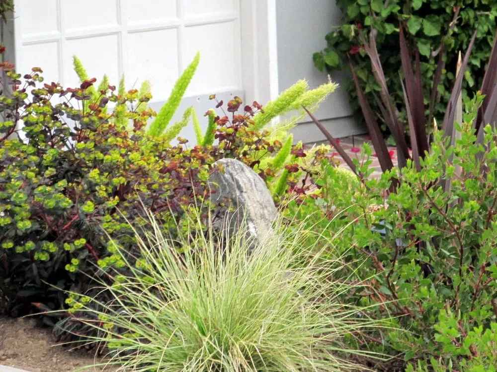 Top-rated landscape installation experts serving Morro Bay, CA - Fairy Yardmother Landscape Design