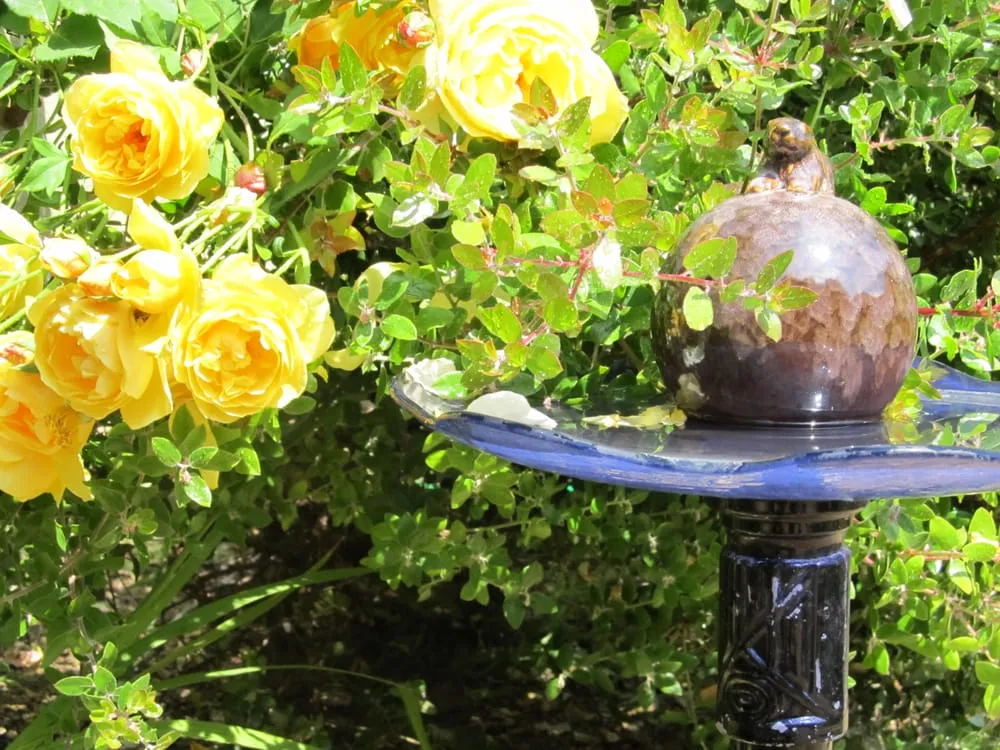 Reliable lawn care service in Morro Bay, CA by Fairy Yardmother Landscape Design