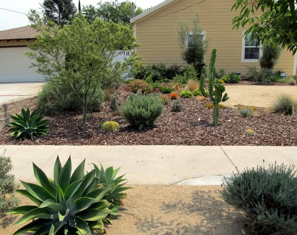 Reliable yard maintenance experts serving Morro Bay, CA - Fairy Yardmother Landscape Design