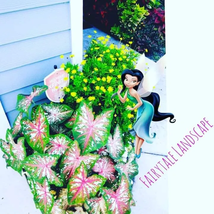 Expert lawn care service for homes across Jacksonville, FL - Fairytale Landscapes