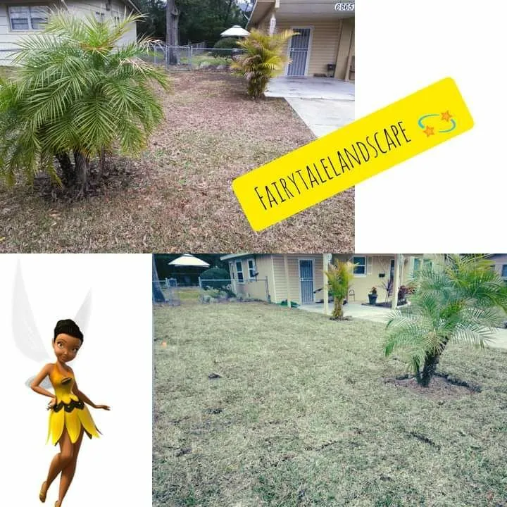 Top-rated lawn care service for homes in Jacksonville, FL by Fairytale Landscapes