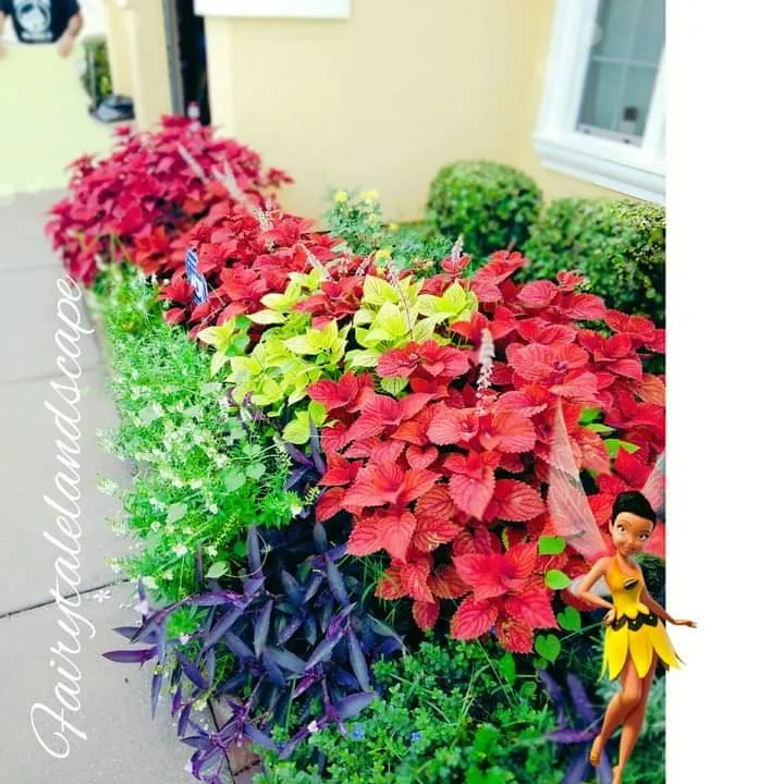 Trusted residential landscaping experts serving Jacksonville, FL - Fairytale Landscapes