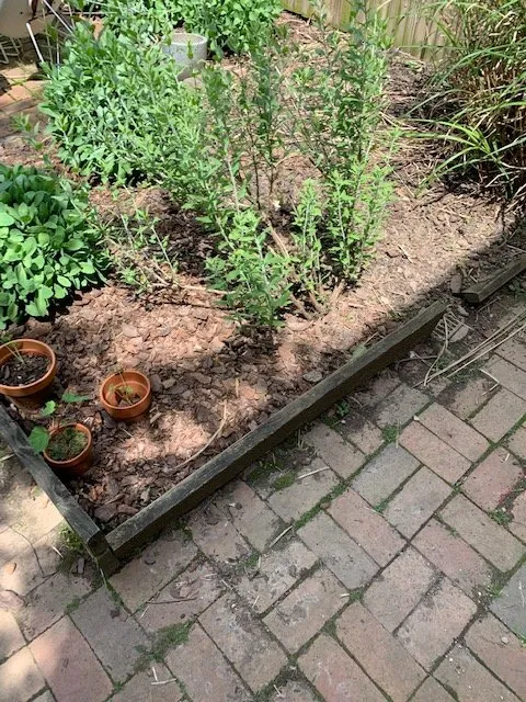 Professional residential landscaping in Ashburn, VA by Faith Contractors