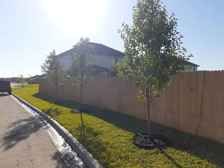 Expert landscaping services near you across Robinson, TX - Faith Landscape