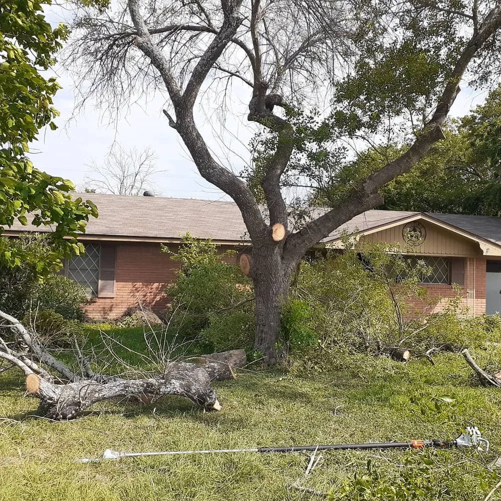 Custom lawn mowing service for homes in Robinson, TX by Faith Landscape