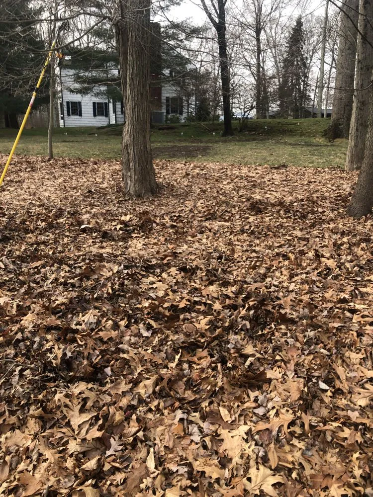 Affordable outdoor landscaping in Cortlandt Manor, NY - Faith landscaping/masonry