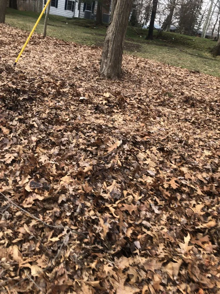 Professional landscape design in Cortlandt Manor, NY by Faith landscaping/masonry
