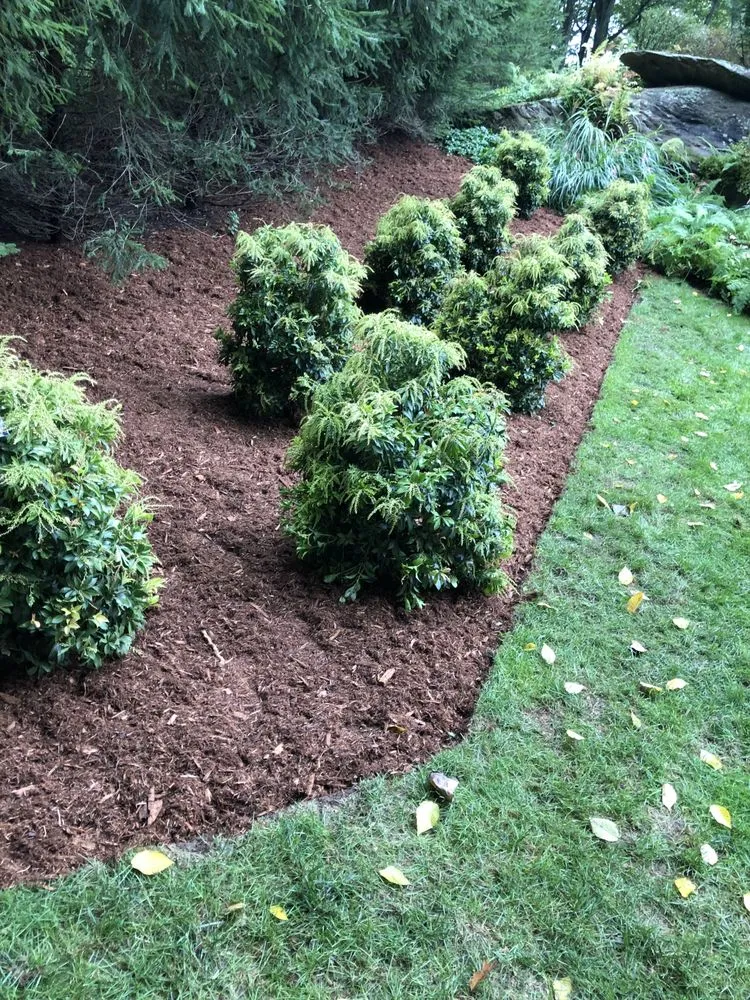 Custom lawn mowing service for year-round maintenance across Cortlandt Manor, NY - Faith landscaping/masonry