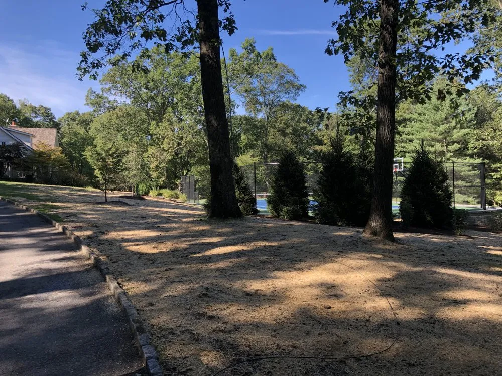 Affordable residential landscaping for year-round maintenance across Cortlandt Manor, NY - Faith landscaping/masonry