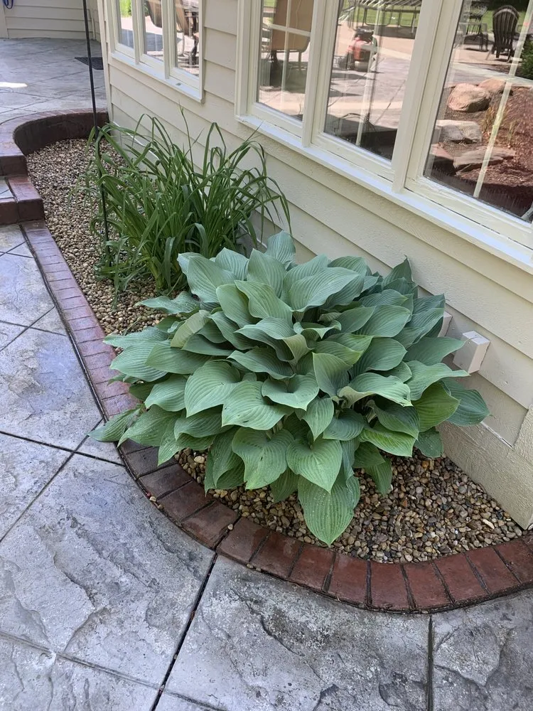 Reliable lawn mowing service in Camby, IN by Faith Lawn Care