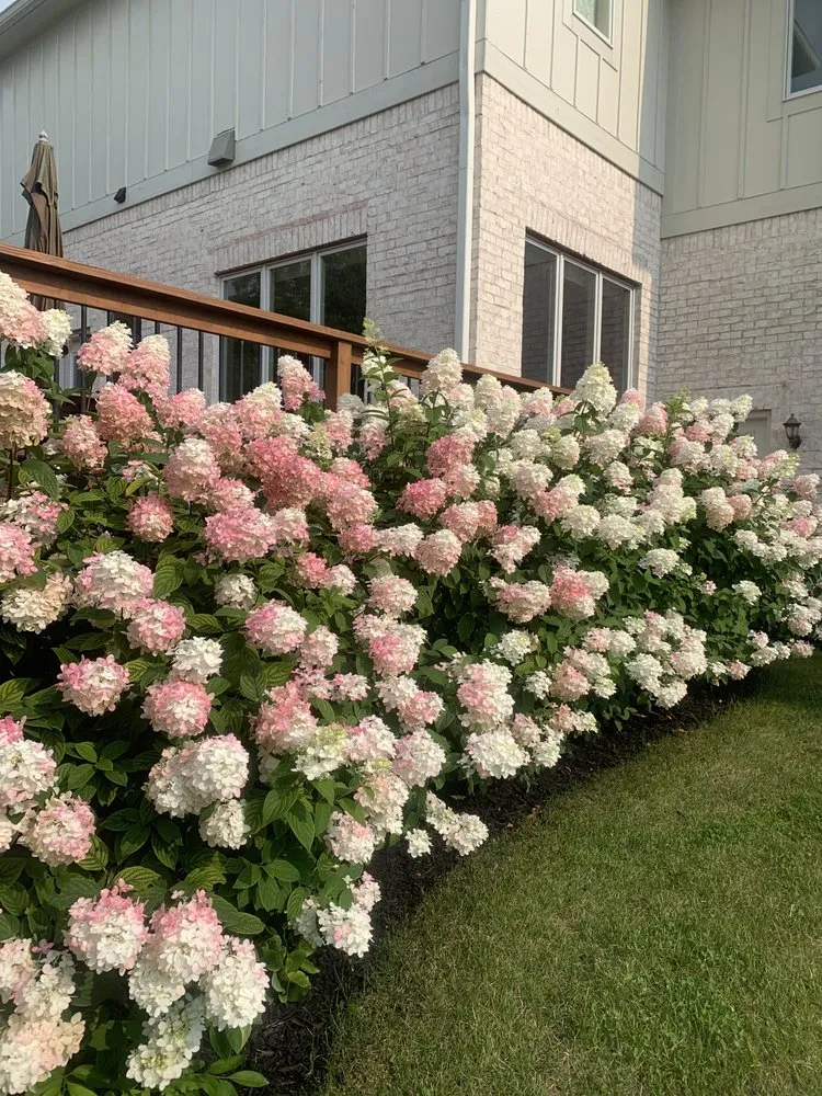 Expert lawn mowing service for residential properties in Camby, IN by Faith Lawn Care