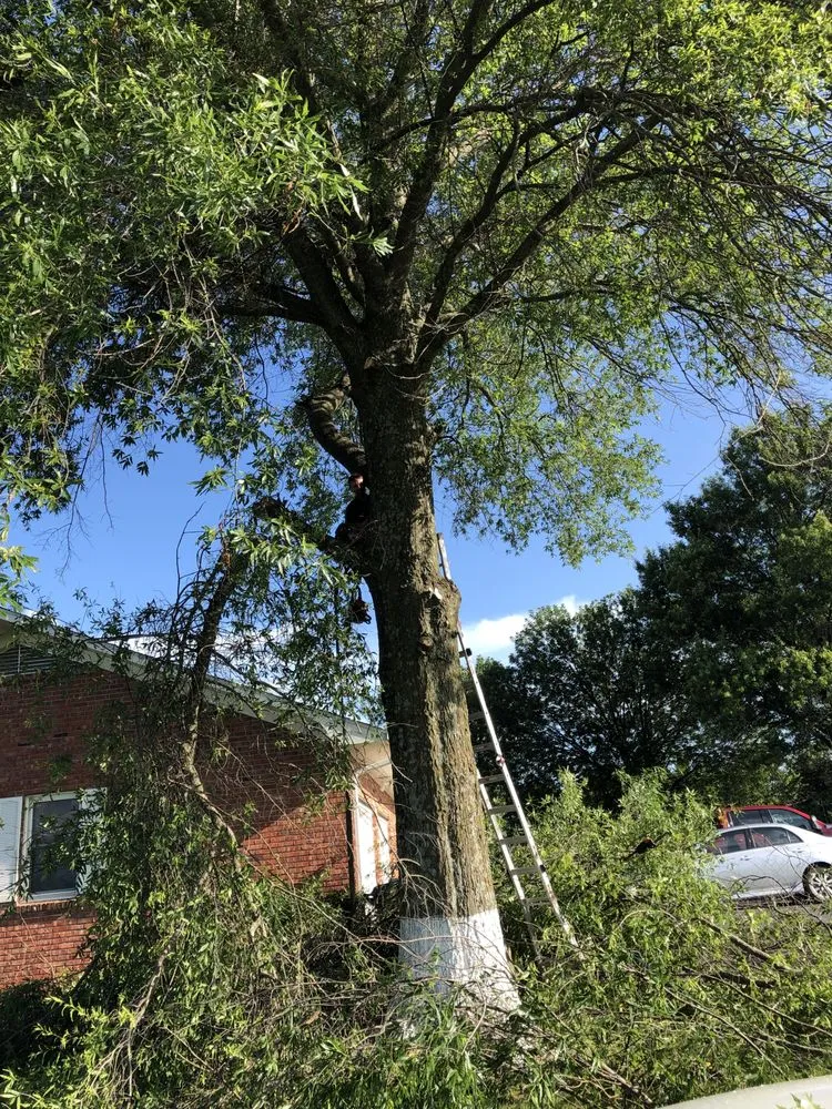 Custom lawn mowing service in Carthage, MO - Faith Tree & Outdoor Services