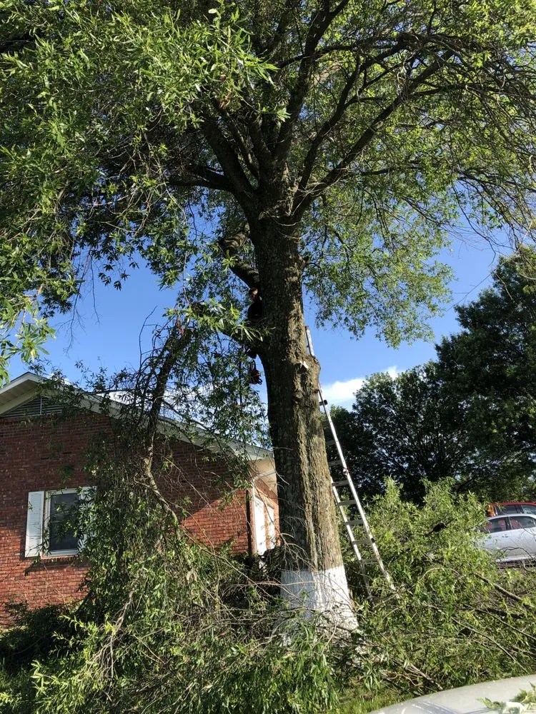 Top-rated yard maintenance for outdoor upgrades in Carthage, MO by Faith Tree & Outdoor Services