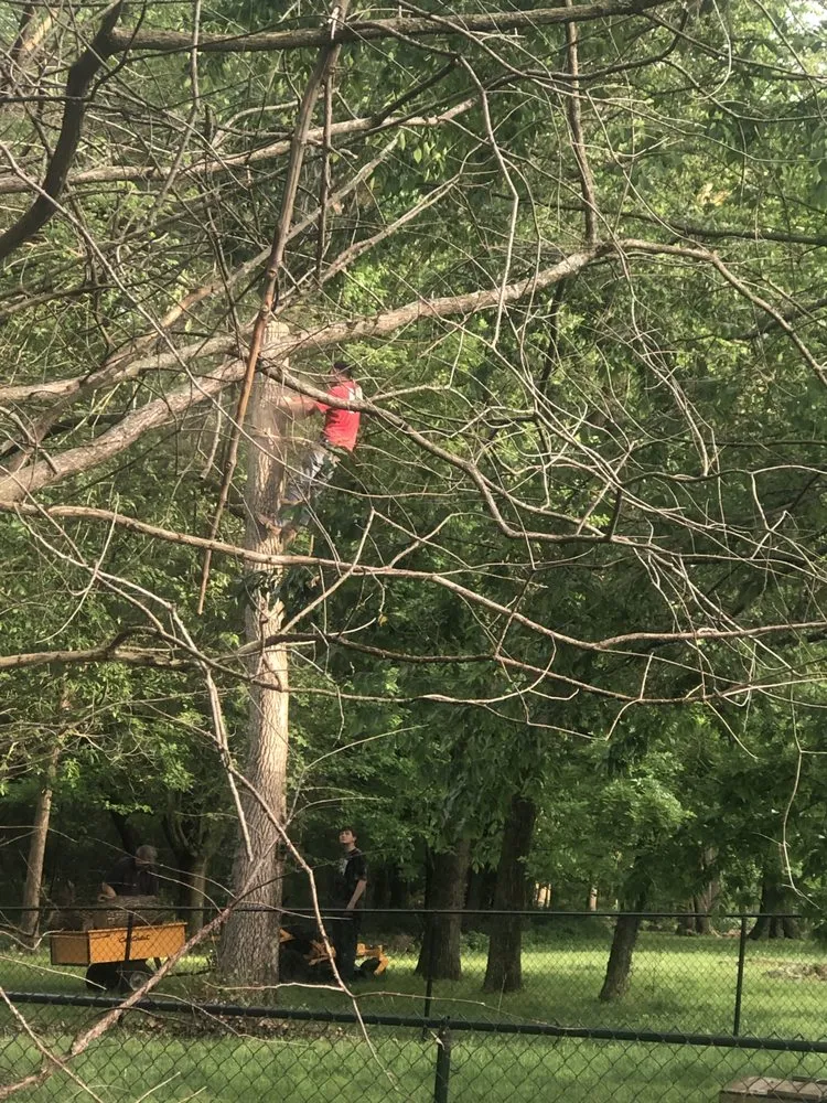 Local yard cleanup service in Carthage, MO by Faith Tree & Outdoor Services